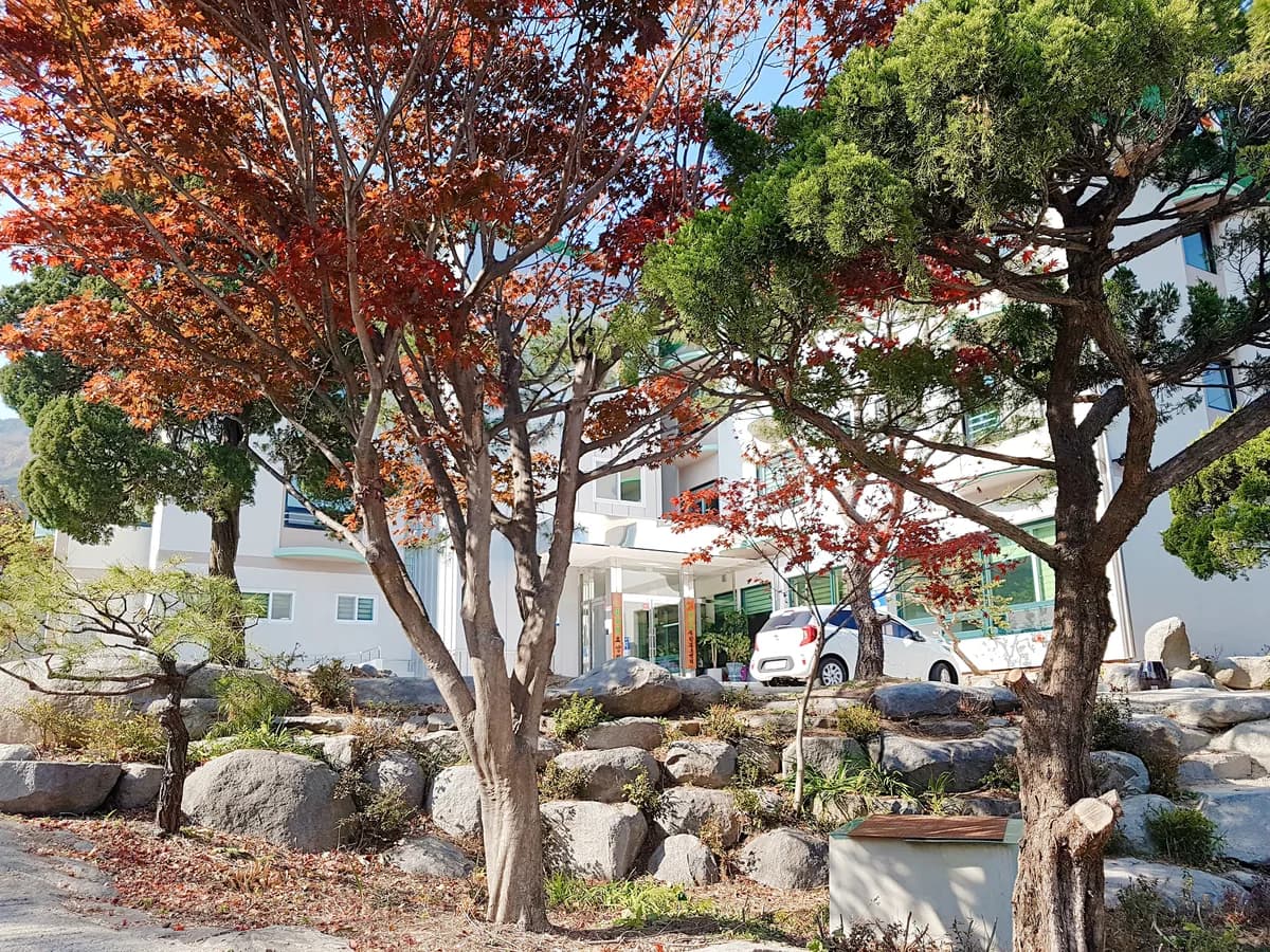 참사랑주간보호센터 이미지 1